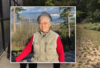 华人老太来加拿大3个月散步失踪 独自在树林里待了5天