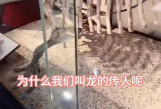 张兰带孙子孙女参观恐龙博物馆 教育做龙的传人