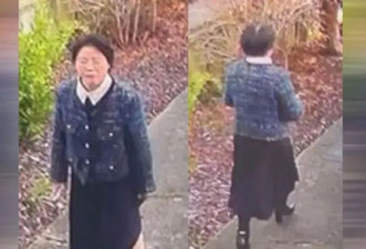 一中国公民在新西兰失踪，中领馆:当地警方正调查