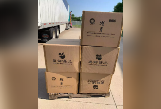 7000磅蔬果花菇运纽约 竟是大麻…出发前被截获