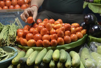 印度官员为解决西红柿价格高“支招”：都别吃...