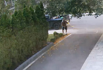 多伦多民宅监控拍下：男子拎大铲子到门口偷花草 一口气挖了3棵