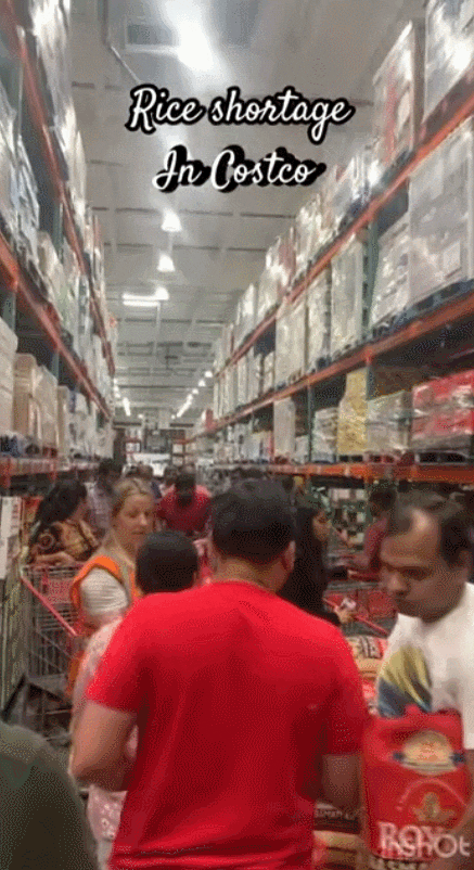 Costco大米遭疯抢！有人狂囤整个购物车！多伦多超市被迫涨价