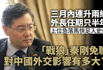 港媒：秦刚被免职对中国外交有何影响？