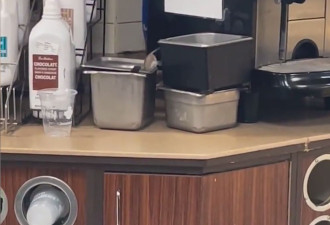【视频】Tim Hortons老鼠钻进食物盒网络疯传 这家店竟在安省