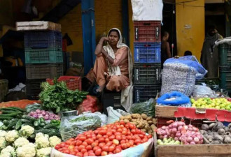 史无前例 印度西红柿危机,隐藏着一个农业大问题