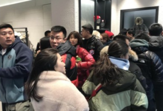 加拿大鹅打五折引争抢 北京有市民排队长达四小时