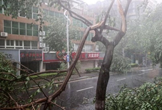彻夜大雨瓢泼 天安门故宫关闭 北京发最高红色预警