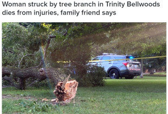远离这种树！多伦多女子遭断枝砸中身亡，相同树7年前就砸死过人