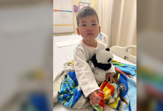 约克区华裔混血男孩心脏手术被取消4次 母亲这个举动带来转机！