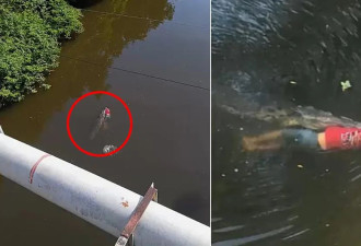 鳄鱼咬死29岁小伙后，更恐怖一幕出现了