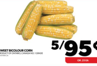 冲！多伦多超市折扣海报出炉：玉米$0.19、肋排$1.97！
