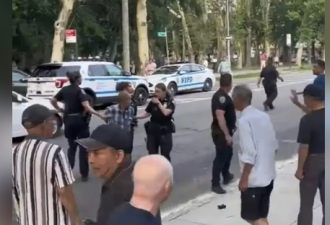 掷水球、石头…华裔青少年骚扰公园民众 受害长者反被捕
