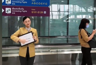 中国网红15分钟入境泰国全过程：举牌欢迎、豪车接送、行李送到家