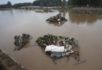 洪水回落后的涿州：多处现动物尸体