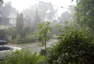 安省发布70毫米暴雨预警 大多伦多水位全线上涨危险