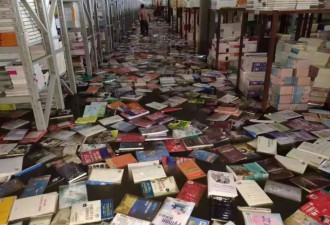 “25年来毁灭性打击！” 洪水过境，图书出版业更难了