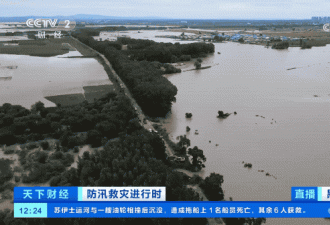 黑龙江、吉林暴雨：被淹没的稻田与失联的村民