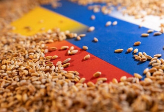 俄罗斯谷物成本增加！恐推高全球小麦价格