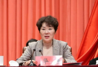 南京市委原常委、统战部部长华静接受审查调查