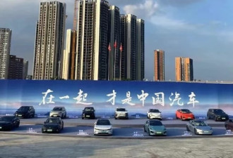 长安突围,比亚迪封神,中国汽车品牌逆袭之战