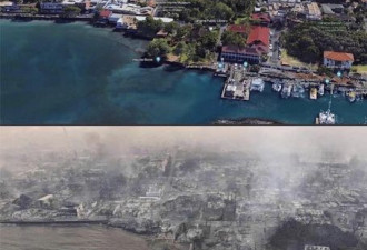 史上最惨...夏威夷野火酿67死 见人倒地无法相救