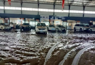 灾后涿州车行老板：车泡了水，人没了路