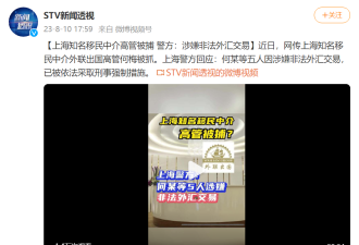 上海知名移民中介高管被捕 警方指控其非法外汇交易