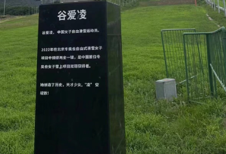 谷爱凌雕像在北京落成，字却掉漆了