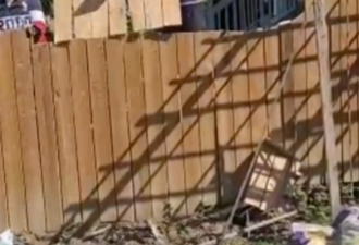 多伦多华人夫妇遭曝光：手持大电锯强拆邻居家栅栏，不怕报警
