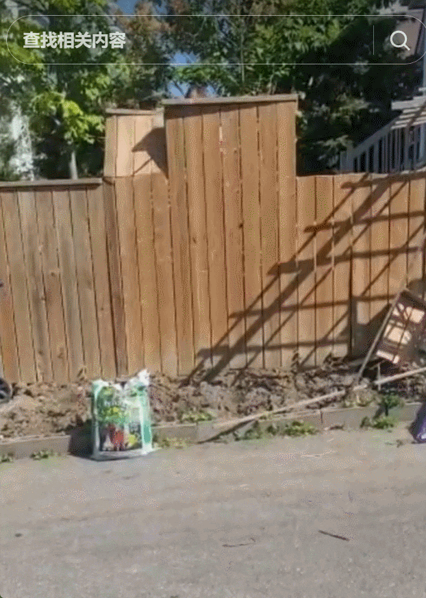 多伦多华人夫妇遭曝光：手持大电锯强拆邻居家栅栏，不怕报警