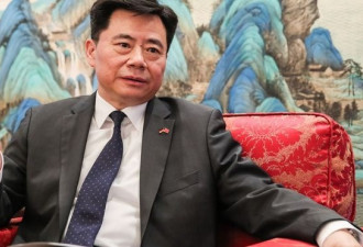 中国大使怒呛：这是“病”，得好好治一治
