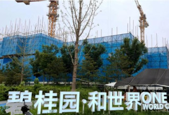 专家：中国第一大房企关乎千万人就业 不能倒