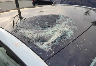华裔一家出门晚餐惊闻警报：Tesla突然被砸中 车顶全碎了！