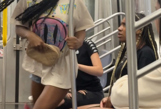 华裔一家四口坐地铁遭无端嘲笑围殴！热心同胞录像留证也被暴打