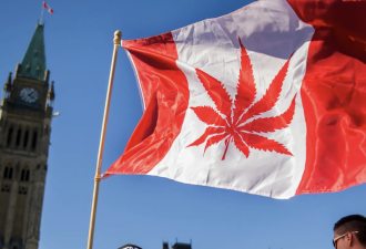 请叫我“加麻大”！加国三城名列全球大麻消费前20名，亚洲一城上榜