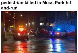 多伦多肇事逃逸致一行人死亡