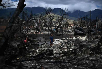 夏威夷山火超百人死亡 中媒趁机抨击美军不救灾