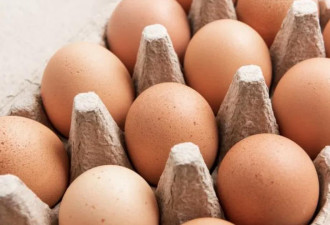 中国多地蛋价涨超40% 因为天气热，母鸡食欲差?