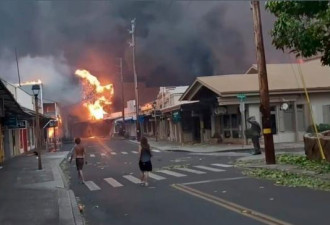 毛伊岛野火是人祸?火灾前夜公用电网出现多个故障