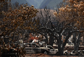 美国夏威夷毛伊岛大火已致110人死亡