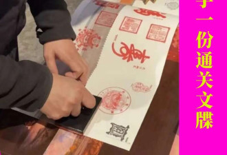 旅游一天盖800个章 唐僧的通关文牒都没我夸张