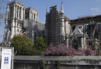 巴黎圣母院修复工程总负责人意外去世