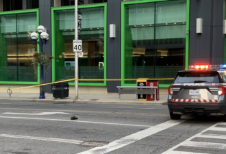 多伦多市中心行人被撞入院