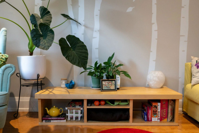 Storage and plants in Sophie Rogowska's apartment