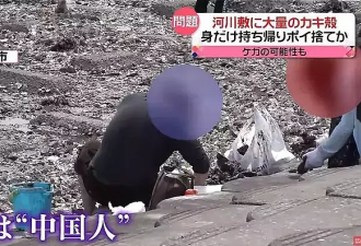 ​中国大妈在日本又出名了！在公园抓蝉吃