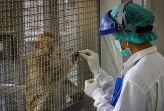 对抗猴痘的高危者：怕得病，更怕“社死”