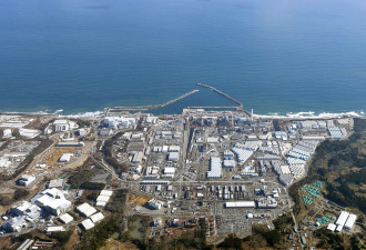 日本福岛核废水排海，韩国人疯狂抢盐！