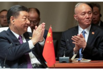 金砖峰会：习近平与普京以领导者自居