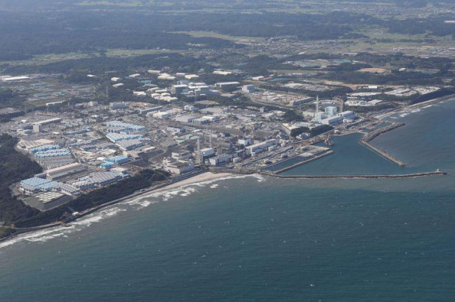 福岛核污水入海后首次海水化验结果出炉东电:远低标准值| 国际大社会| 国际| 世界新闻网